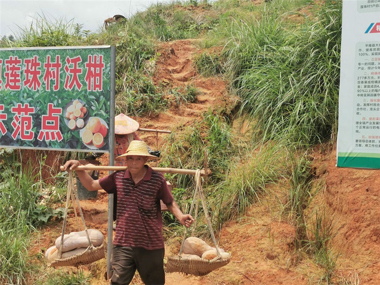 彰泰公益助农