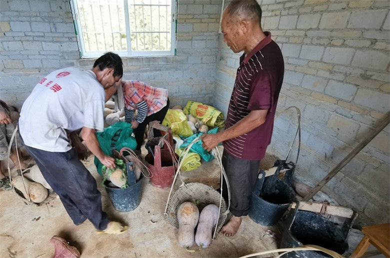 彰泰公益助农